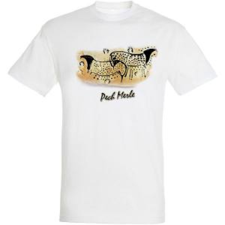14415  Chevaux Pech Merle