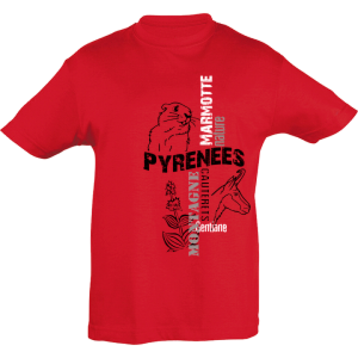16607  Chamois Marmotte Cauterets