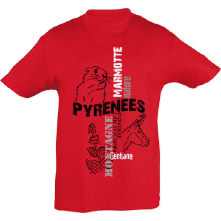 16607  Chamois Marmotte Payolle Col dAspin