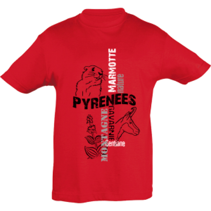 16607  Marmotte Chamois Gavarnie