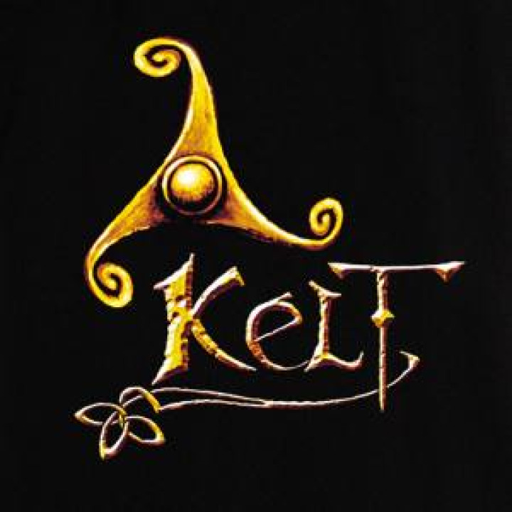 16660  Bouclier Epée Kelte