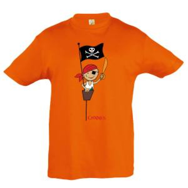 16859  Pirate sur mât Cannes