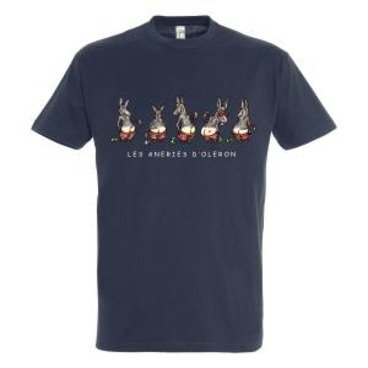 17018  Les Aneries DOléron  Io