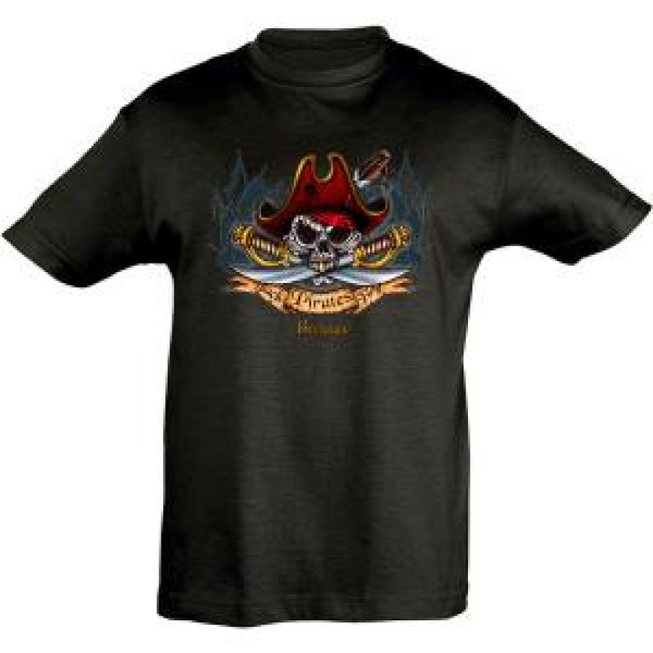 17095  Pirate Sabre Bretagne Bb3013