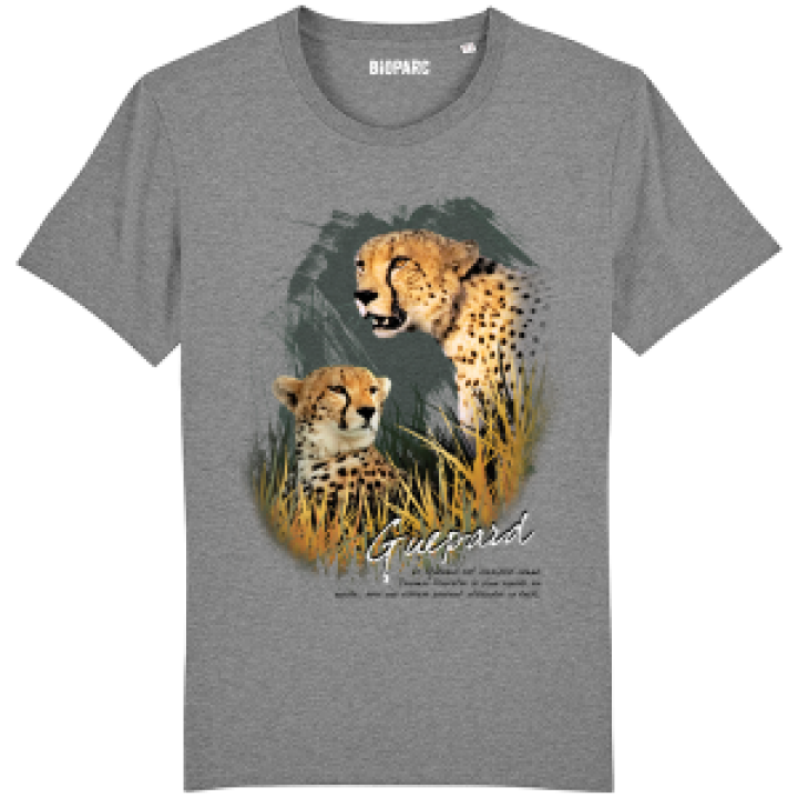 17201  Guépard Bioparc
