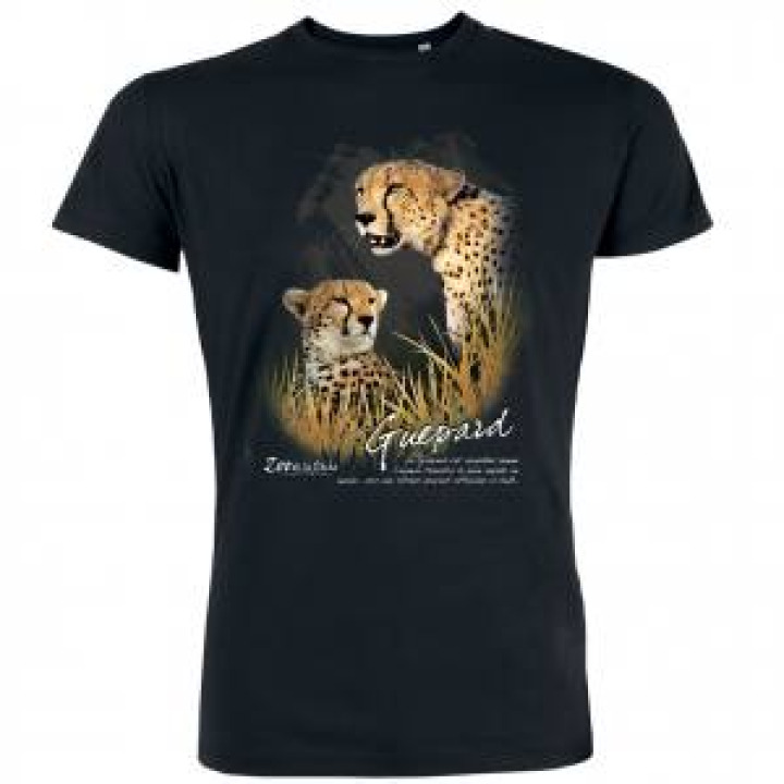 17201  Guépard Zoo de la Fleche