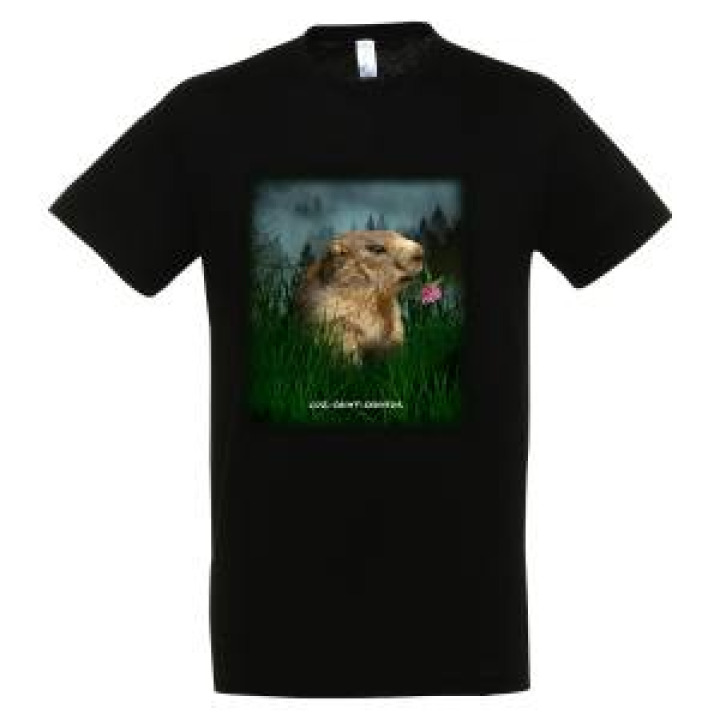17283  Marmotte Luz Saint Sauveur