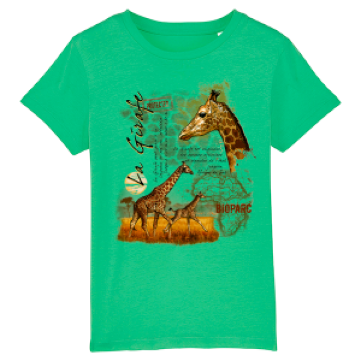 17384  Girafe Bioparc