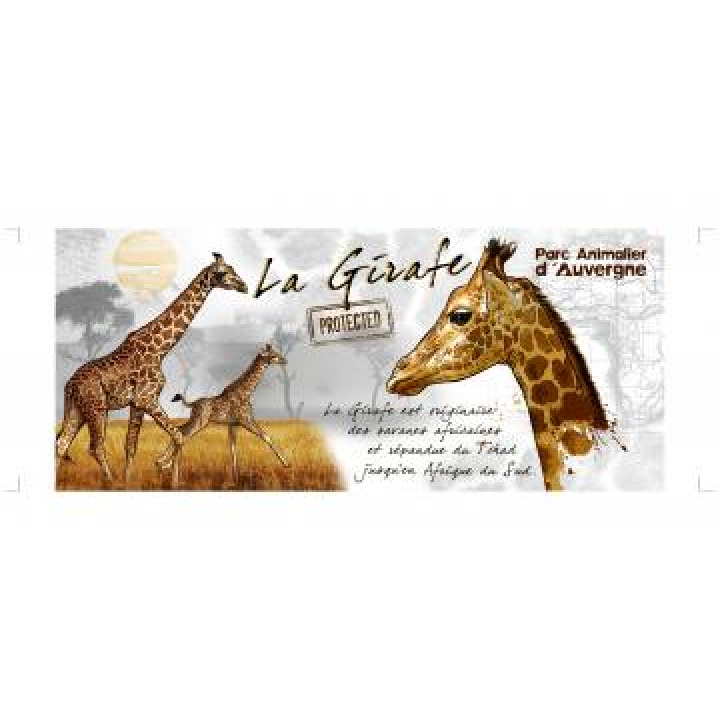 17384  Girafe Parc Animalier dAuvergne