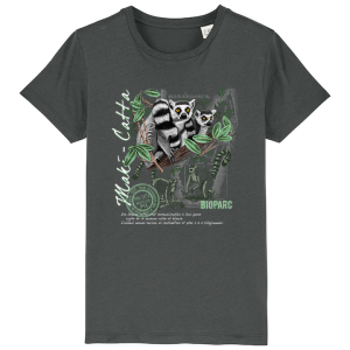 17385  Maki Catta Bioparc