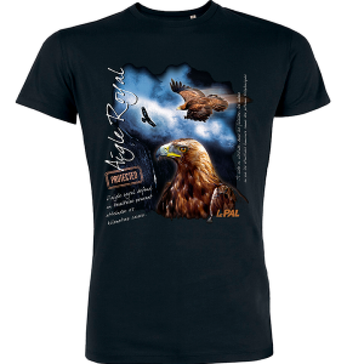 17667  Aigle le Pal