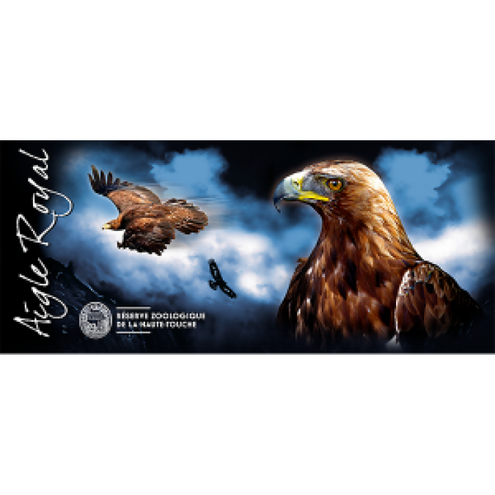 17667  Aigle Réserve de la Haute Touche