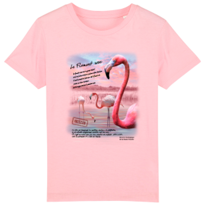 17670  Flamant Rose Réserve de la Haute Touche