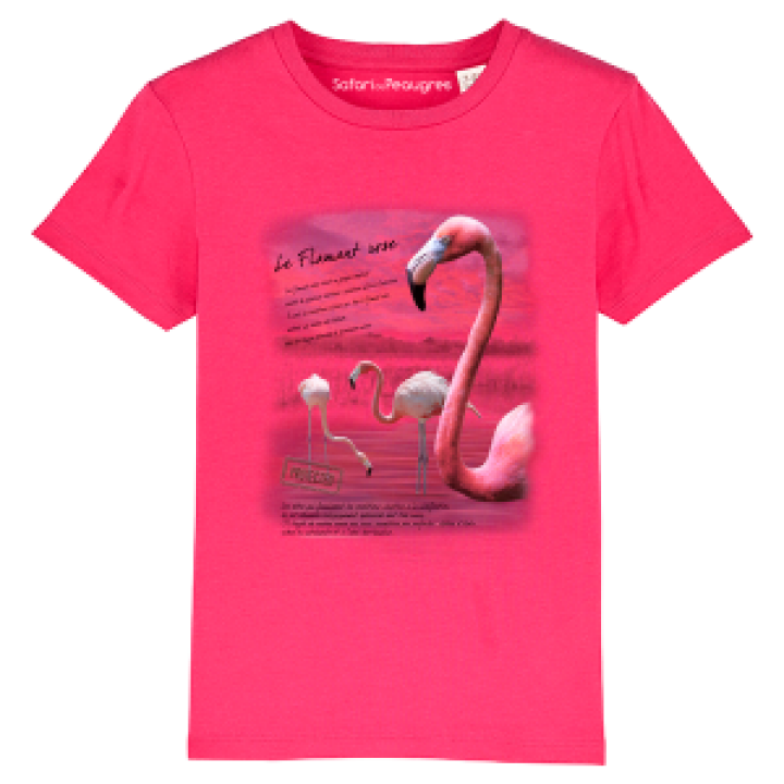 17670  Flamant Rose Safari de Peaugres