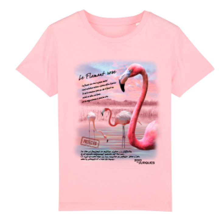 17670  Flamant Rose Zoo de Jurques