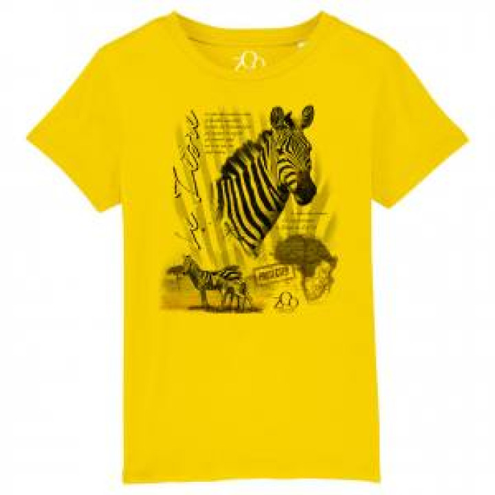 17672  Zèbre Zoo dAmiens