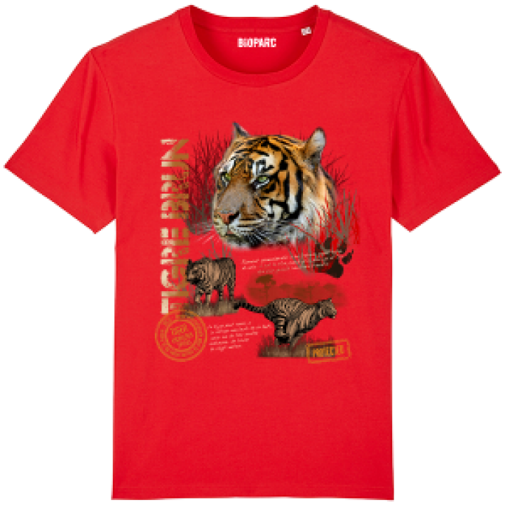17725  Tigre Brun Bioparc