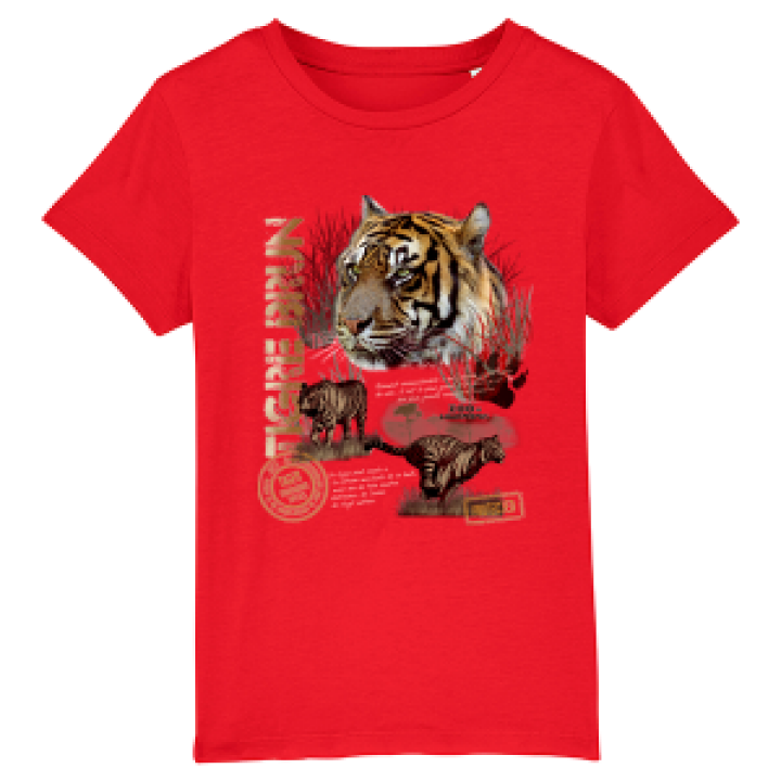 17725  Tigre Brun Zoo de Champrepus
