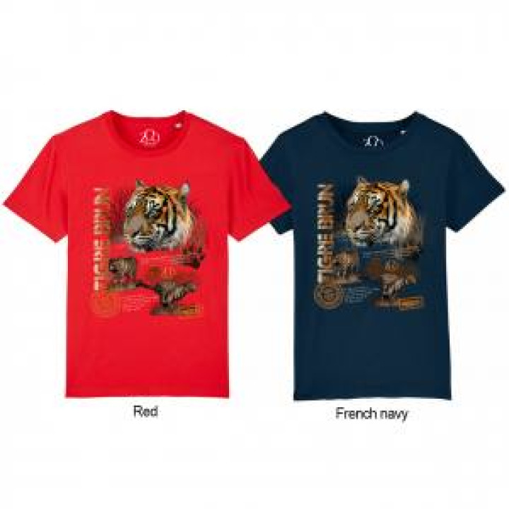 17725  Tigre Brun Zoo dAmiens