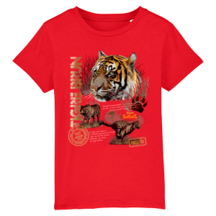 17725  Tigre Brun Zoo les Sables dOlonne