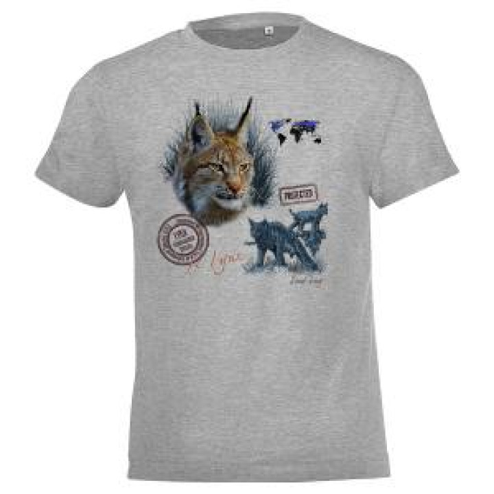 17776  Lynx Saint Lary