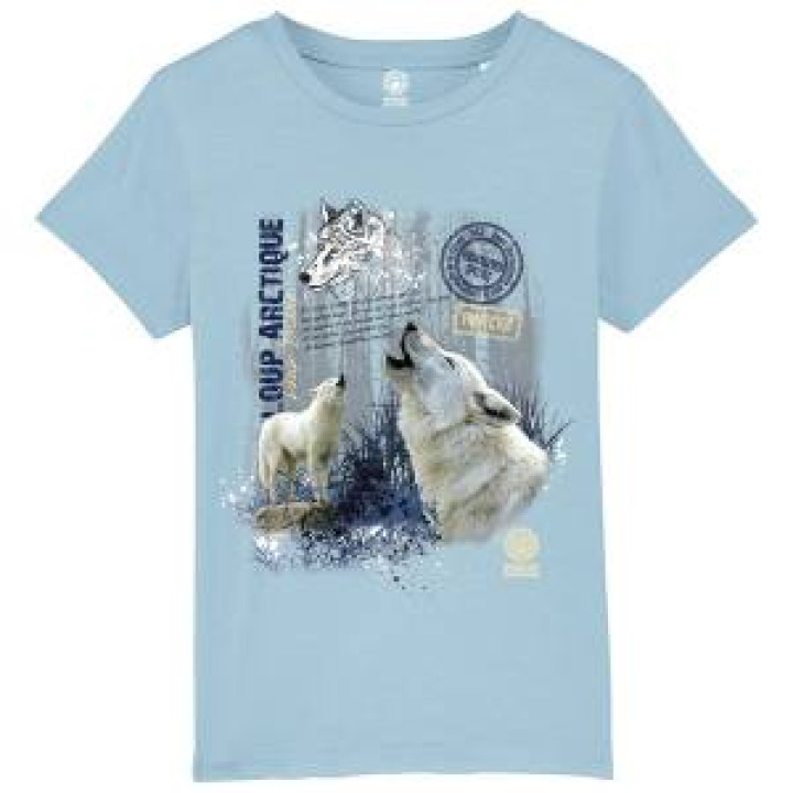 17843  Loup Arctique Zoo de Thoiry Zoo de Thoiry