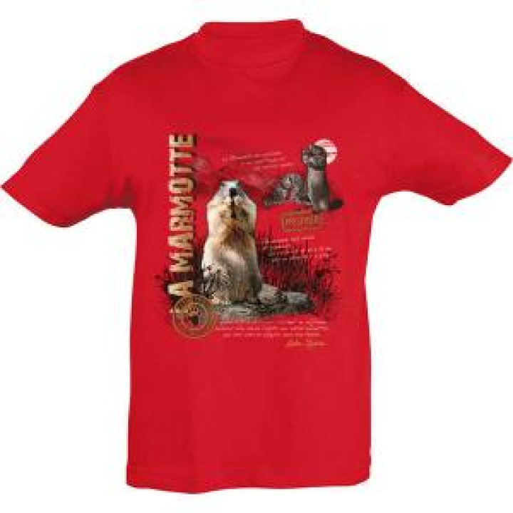 18346  Marmotte Luchon