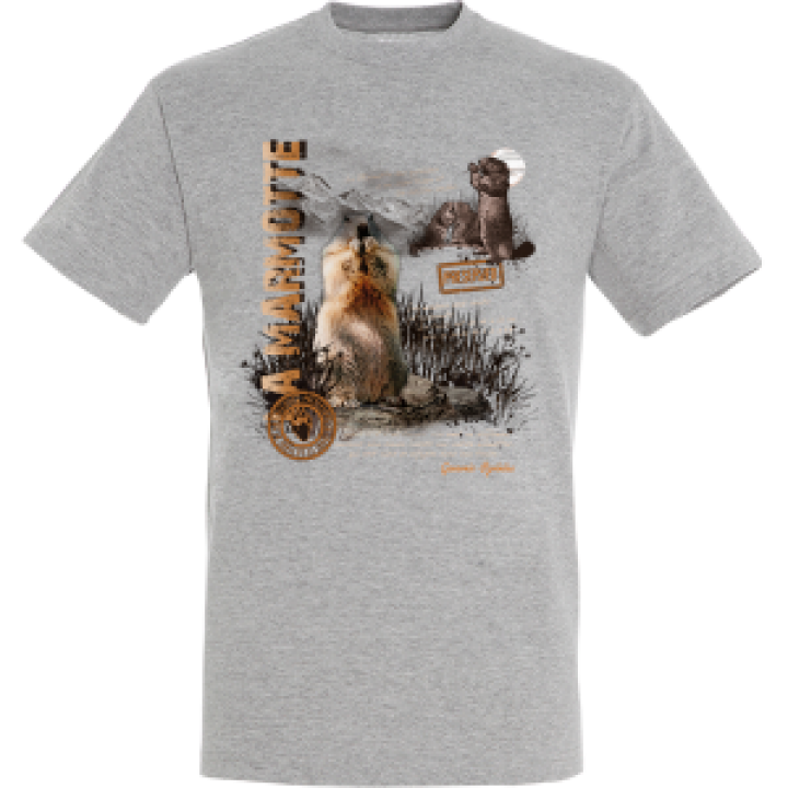 18346  Marmotte Pyrénées Gavarnie