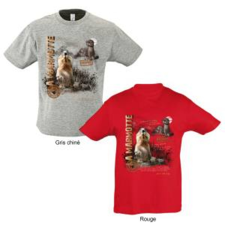 18346  Marmottes Accous Vallée Daspe