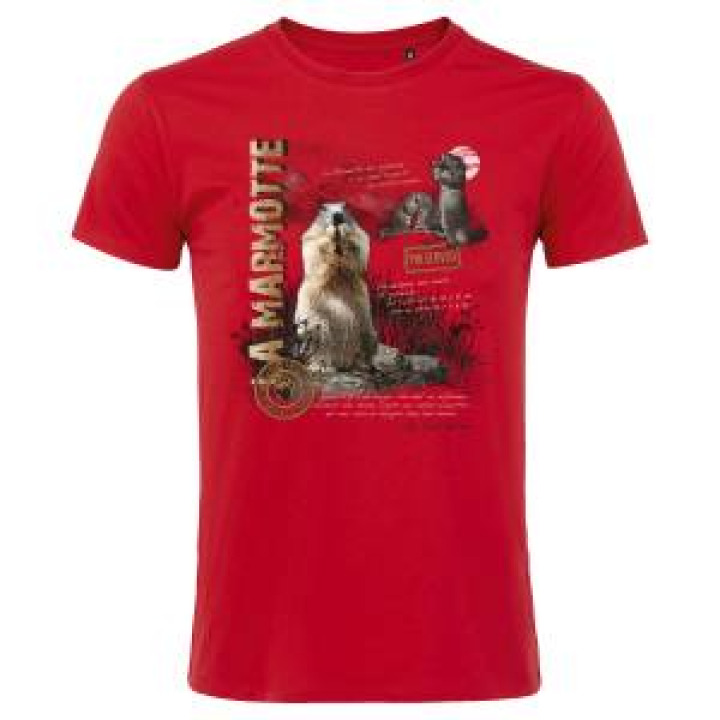 18346  Marmottes Luz Saint Sauveur