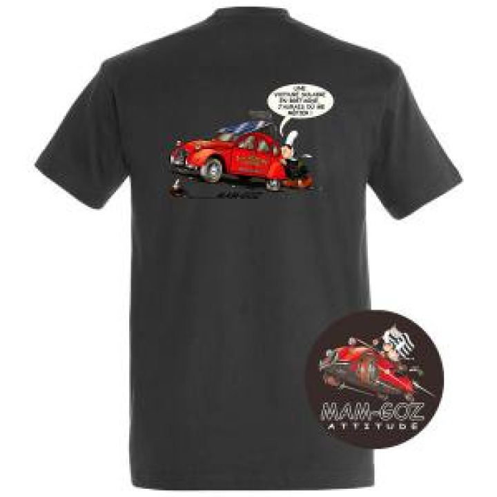 18473  Mam Goz Voiture Solaire  transfert pocket