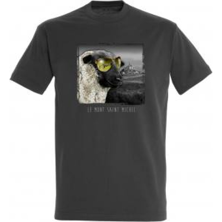 18569  Mouton Lunettes Mont Saint Michel