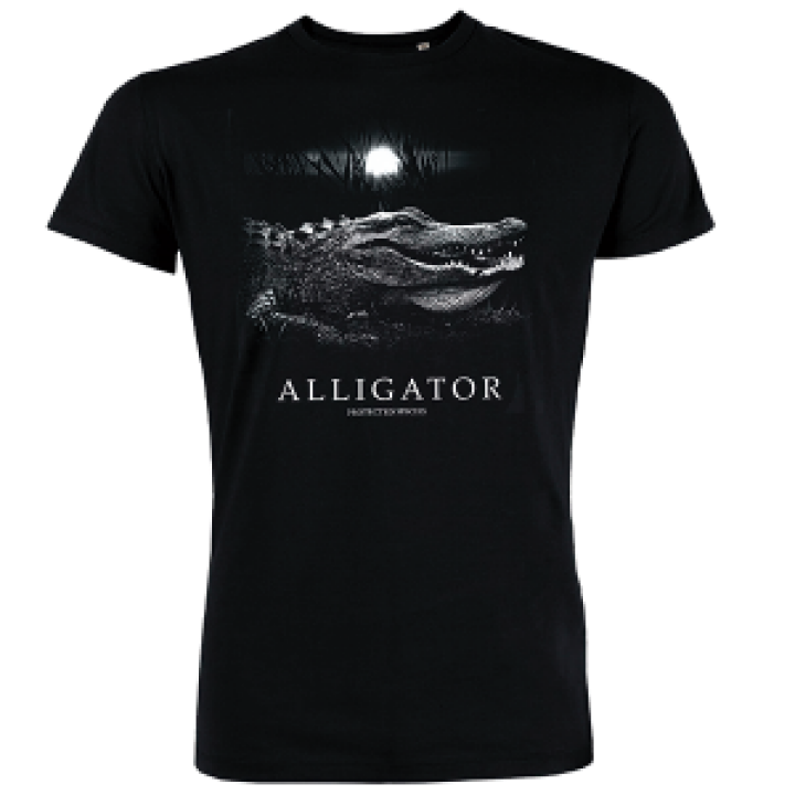 18695  Alligator