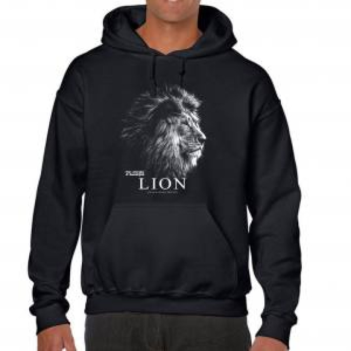 18843  Lion Gamme Black Parc Animalier dAuvergne
