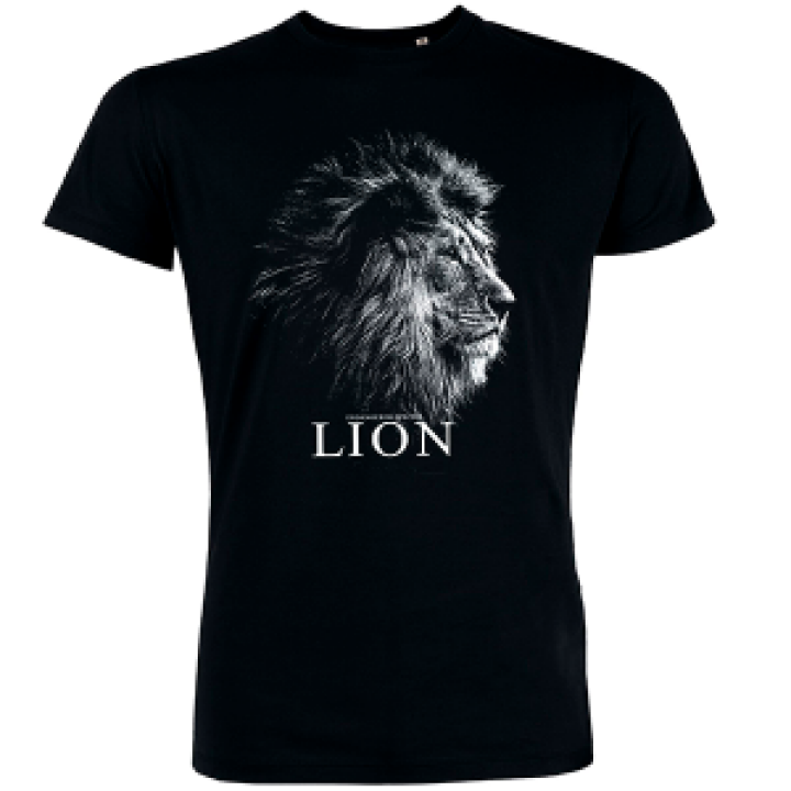 18843  Lion