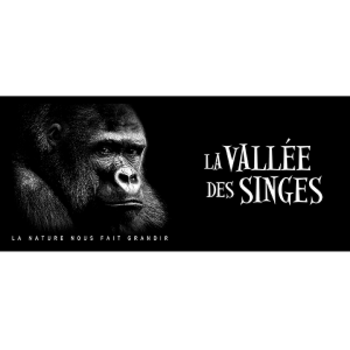 18929  Gorille la Vallée des Singes