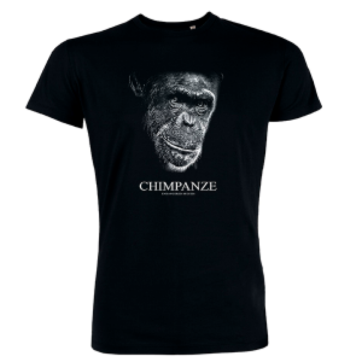 18930  Chimpanze  transfert manche droite Valle des Singes