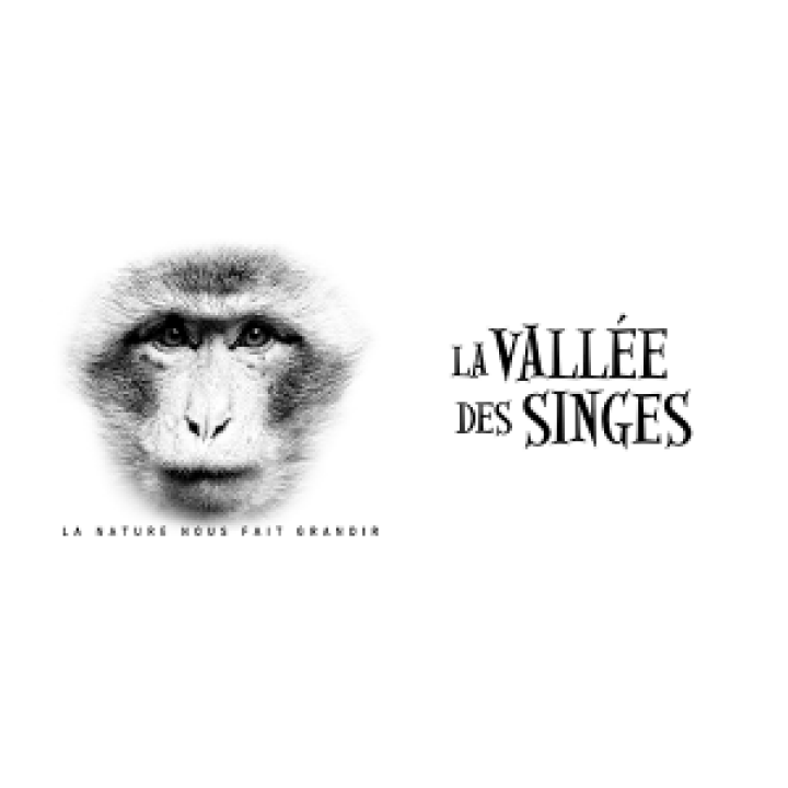 18931  Magot la Vallée des Singes
