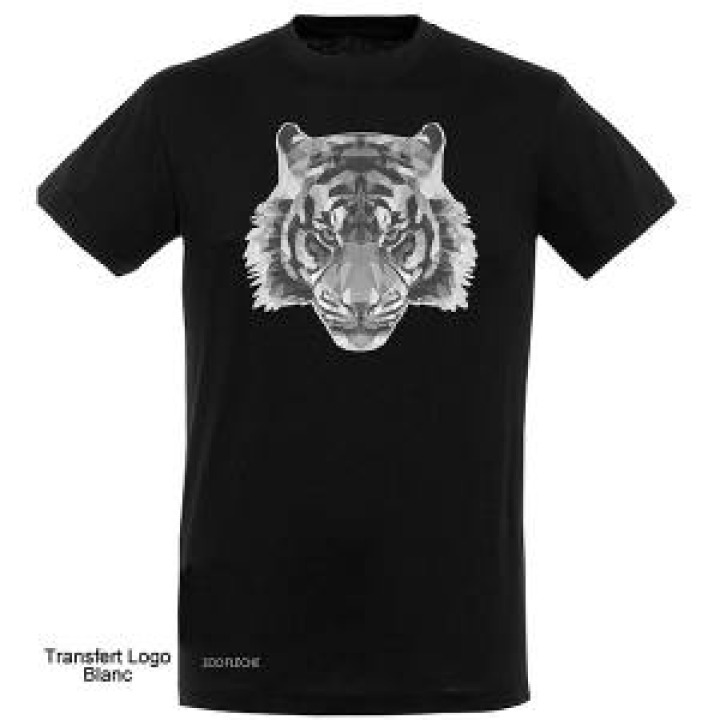 18935  Tigre Blanc  transfert Zoo de la Flèche en Bas à droite