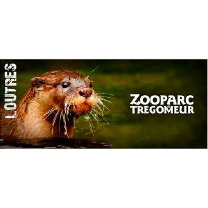 19196  Loutre Zooparc de Tregomeur