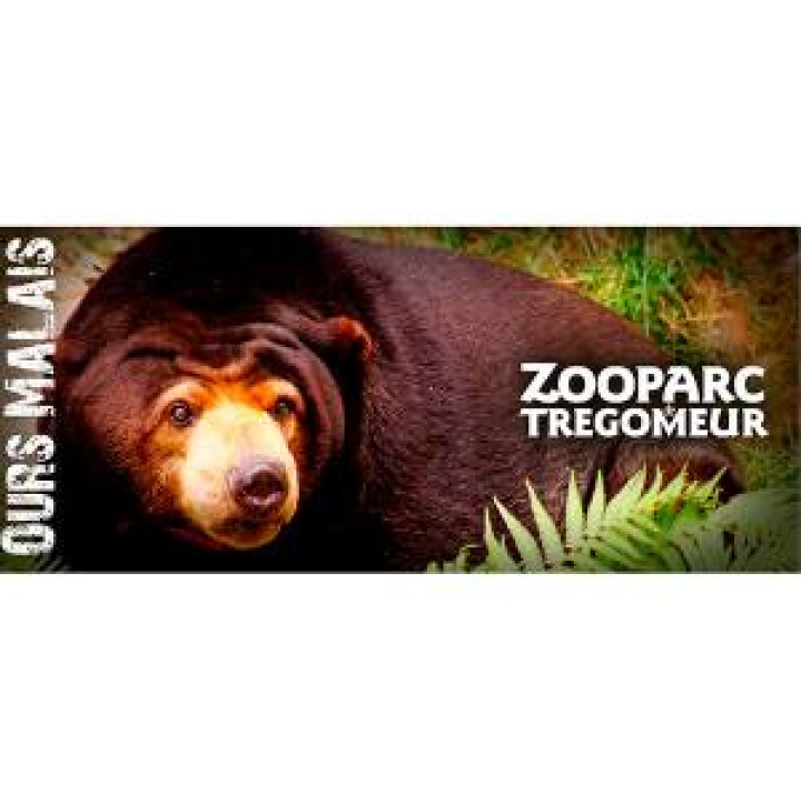 19197  Ours Malais Zooparc de Tregomeur