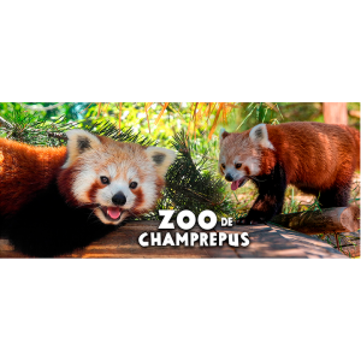 19219  Panda Roux Zoo de Champrepus