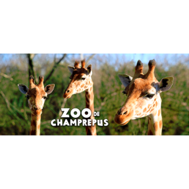 19220  Girafe Zoo de Champrepus