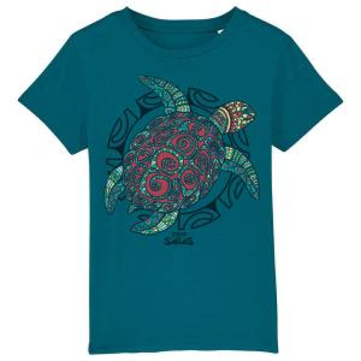 19229  Tortue Multicolore Zoo des Sables dOlonne