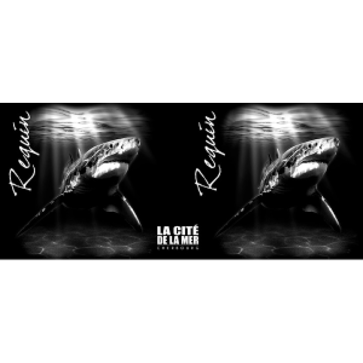 19250  Noir Requin Cité de la Mer