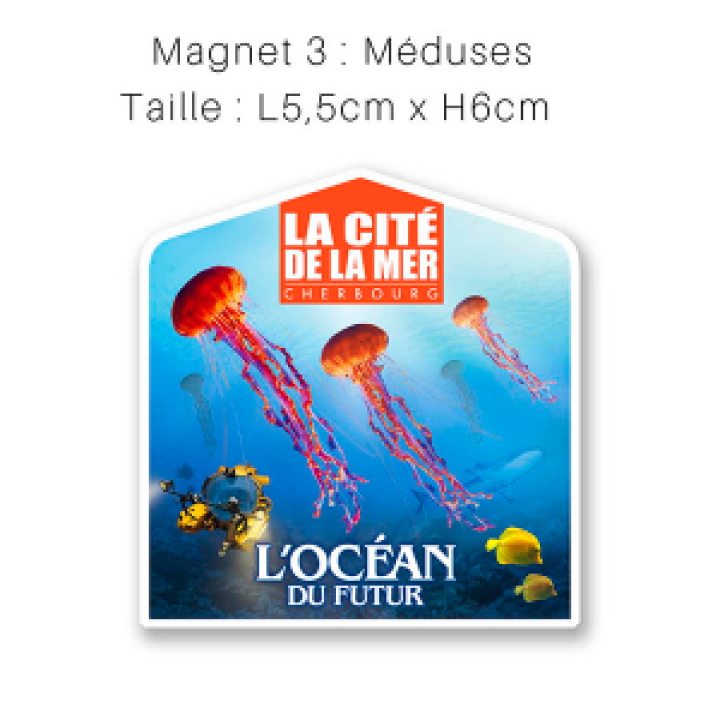 19252  Méduses Cité de la Mer