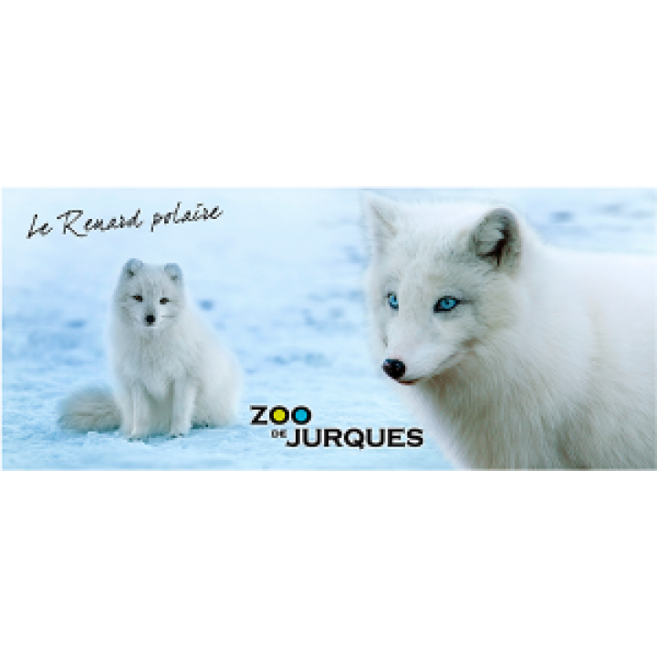 19262  Renard Polaire Zoo de Jurques