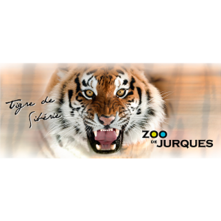 19263  Tigre de Sibérie Zoo de Jurques