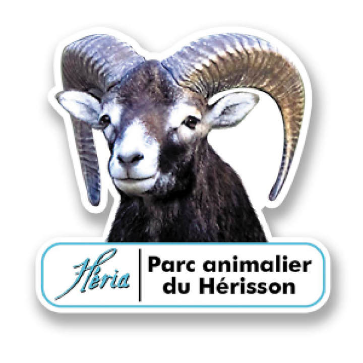 19282  Mouflon Heria Parc du Hérisson