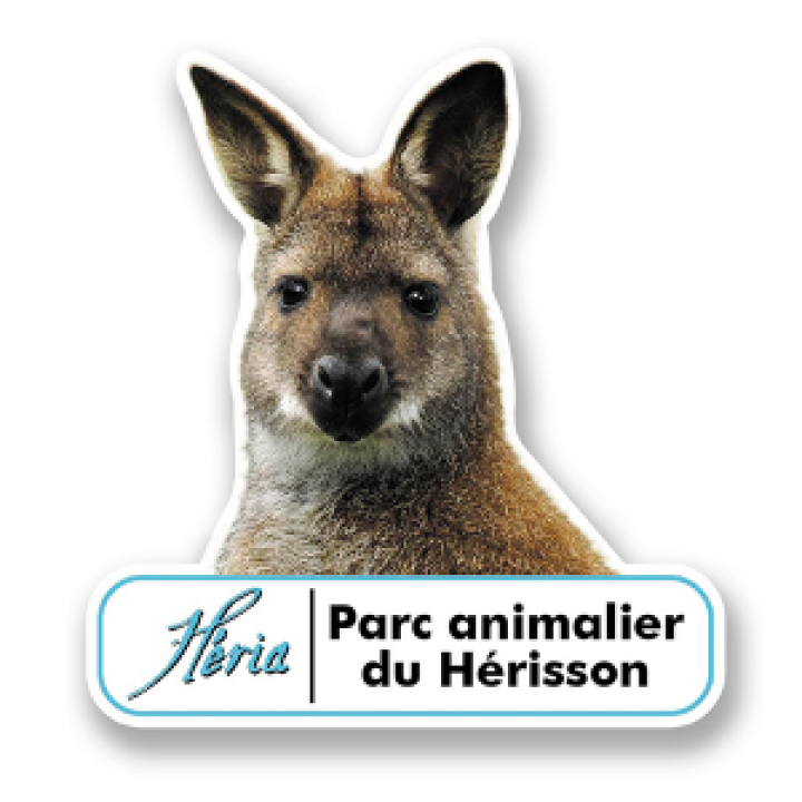 19284  Wallabi Heria Parc du Hérisson